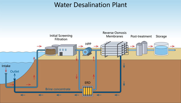 seawater desalination with intake, filtration, high pressure pump, reverse osmosis membranes, treatment, and storage diagram hand drawn schematic vector. Science educational illustration