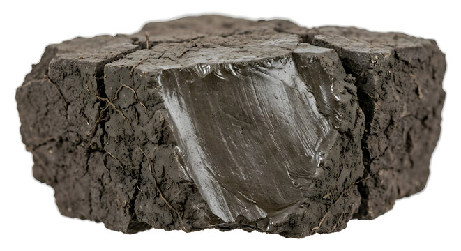 Detailed Vertisol Slickenside Pressure Faces on Soil Ped, Suitable for Science Education, Isolated on White Background