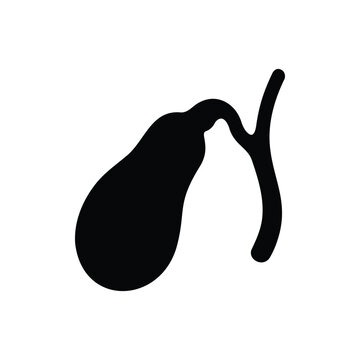 Gallbladder silhouette icon vector flat design.