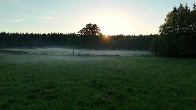 Drone video flying forward across a green meadow toward low-hanging ground fog at twilight