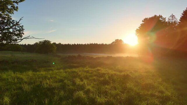 Scenic paning drone shot across a misty green meadow into a glowing golden sunrise