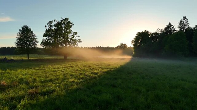Scenic drone flyover moving forward across a misty green meadow into a glowing golden sunrise