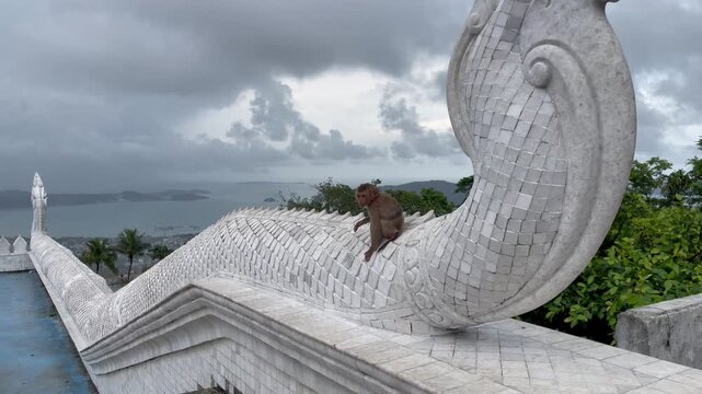 Macaque monkeys resting on a white temple structure at Phuket's Big Buddha viewpoint, overlooking the Andaman Sea beneath dramatic storm clouds