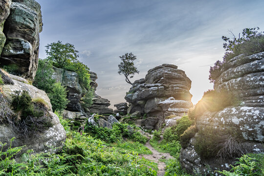 Views of Brimham Rocks at sunrise in Yorkshire England
