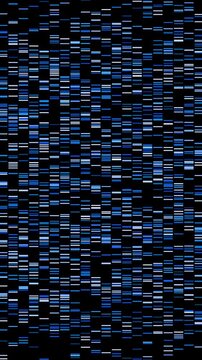 High-density blue and white digital sequence tracking blocks shifting dynamically on screen. Ideal for genomic profiling graphics, biotechnology explainers, and healthcare technology backgrounds.