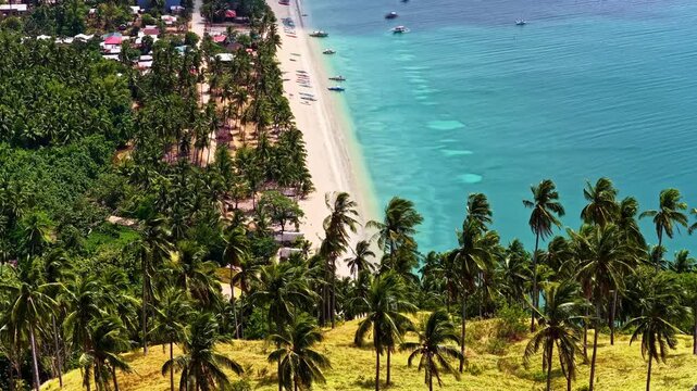 Stunning high-angle drone shot over San Vicente, Palawan, Philippines. Features tall palm trees on a grassy hill overlooking a long white sand beach and crystal-clear turquoise ocean waters.