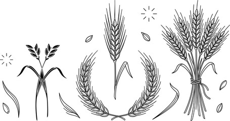 Wheat ear agriculture harvest vector bundle featuring minimalist black line art outline grain stalks wreath sheaf and seeds © MdMursalin