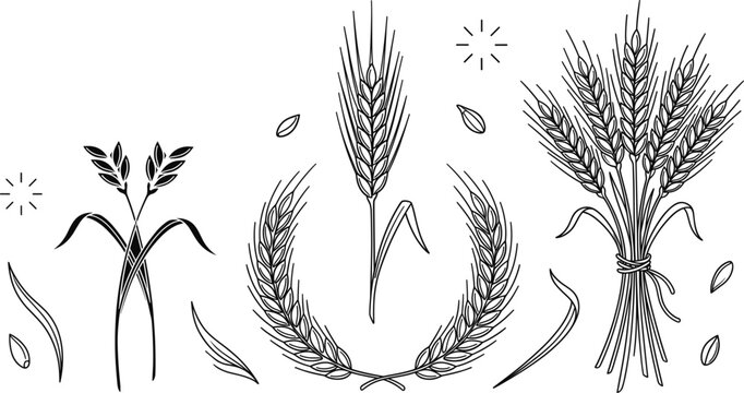 Wheat ear agriculture harvest vector bundle featuring minimalist black line art outline grain stalks wreath sheaf and seeds