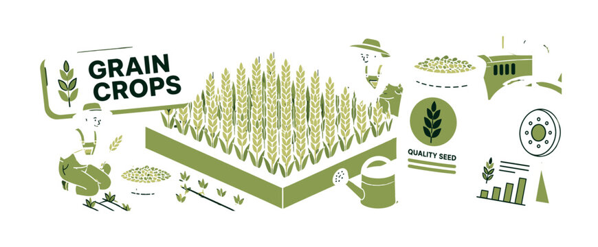 Agriculture Grain Crops banner showing three farmers around an oversized wheat field block and giant seed bag, grain basket, cultivated rows, watering can, crop chart, and tractor wheel filling all