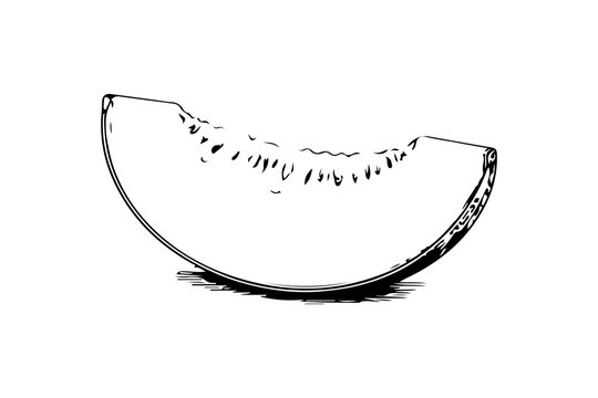 Simple hand drawn melon slice fruit sketch, engraved fresh juicy sweet food illustration clip art