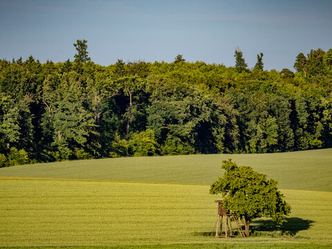 Hoch und J&auml;gersitz im Feld