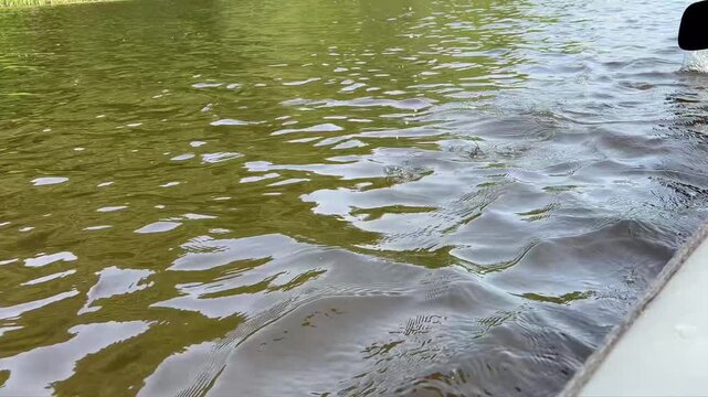 Active water recreation. the rhythmic movement of a paddle during a boat ride on a river