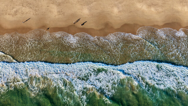 South Australia Coastline &ndash; 4K aerial drone view of ocean waves, sandy beach, foamy surf, shoreline patterns, turquoise water, coastal scenery and top-down seascape views
