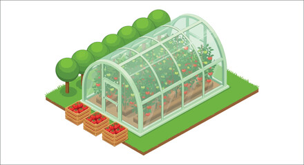 Isometric Greenhouse With Tomato Plants And Harvested Crates © Victoria hub