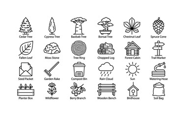 Fototapeta premium Forest Ecology Objects. Line icon set of tree and forest: cedar tree, cypress tree, baobab tree, bonsai tree, chestnut leaf, spruce cone, fallen leaf, moss stone, tree ring, chopped log, forest cabin,