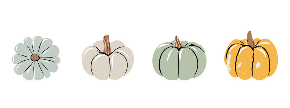 Hand Drawn Harvest Pumpkins and Squash Vector Illustration Set