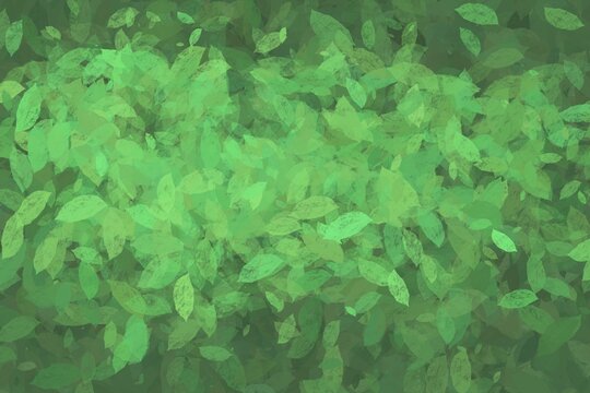 green leaves on a green background