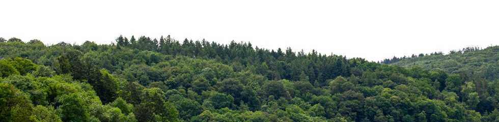 Dense green forest on rolling hills tree line panorama landscape isolated on white background © agrus