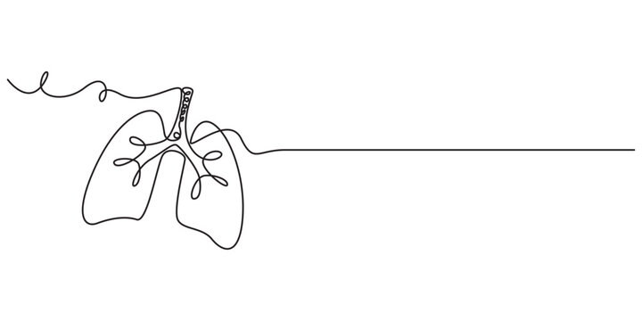 lungs continuous one line drawing, Continuous single line drawing of human lungs with editable stroke. Minimal one line art style vector, Human lungs organ one continuous line art, Vector illustration