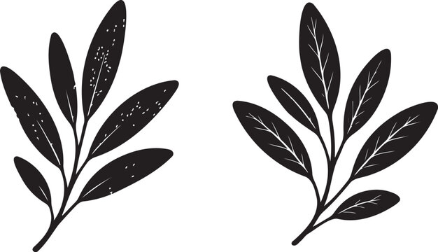 olive branch leaf icon set, black botanical branch vector collection, nature twig symbol design