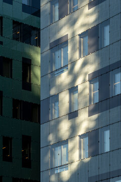 Windows and shadow fall across a glass facade, where light reveals architecture, building pattern, urban texture and quiet vertical surfaces