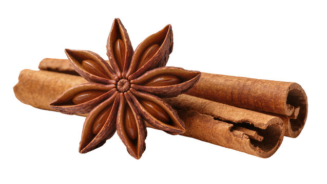 Star anise and cinnamon sticks spice blend