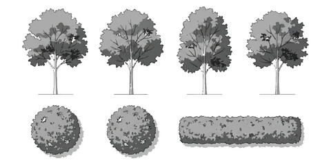 Set of sketch style trees and bushes for architecture and landscape design ©  Designer