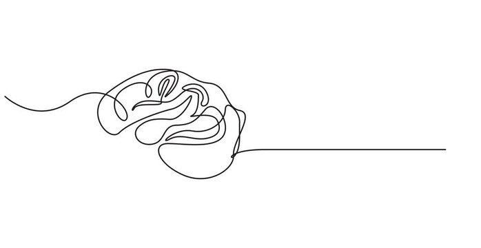 Organized vs Disorganized Mind with Human Brain half logic and creative against half chaotic messy tangled. Drawing continuous line animation. Metaphor Concept, 4K HD