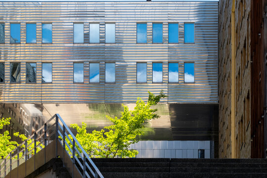 Framed stairs open toward a blue facade, where architecture, windows, urban exterior, handrail, passage, steps and walkway build layered depth