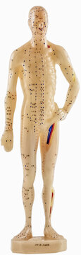 Mannequin d&rsquo;acupuncture chinoise 