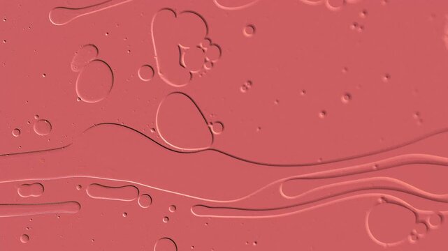 Surreal fluid microscopic projection. Scientific research on cells using a microscope at extreme magnification. Artistic floating oil pattern in abstract liquid artwork with biological visual reaction