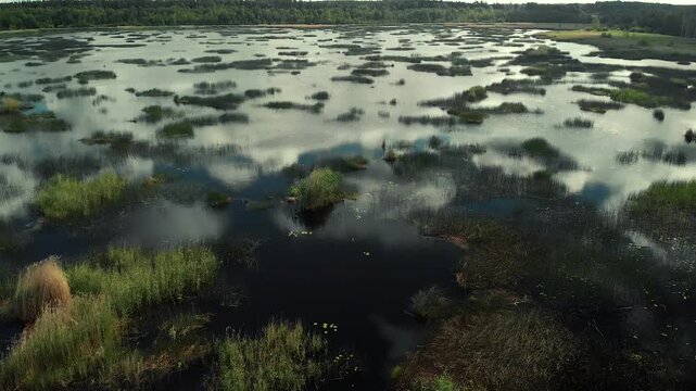 view of the lake