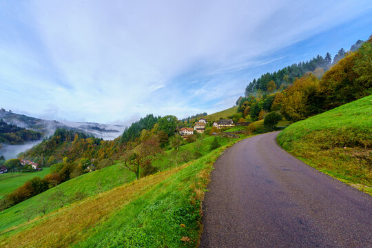 Countryside in the Black Forest