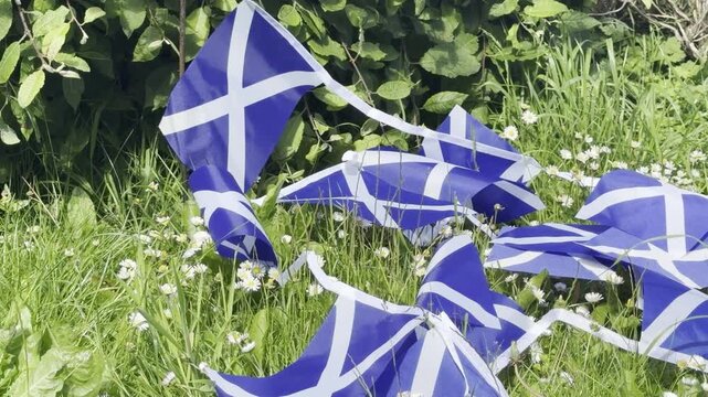 Scottish Bunting and World Flags Display in the Breeze
