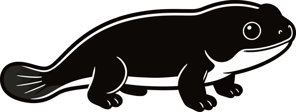 Black and white illustration of a salamander in profile view
