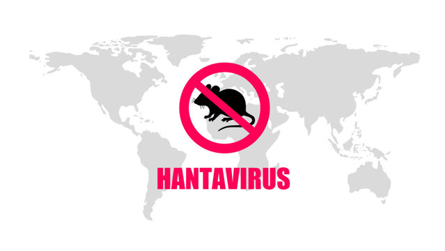 Hantavirus and world map on white background