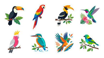 Obraz premium Vector Set of Colorful Tropical Birds Perched on Branches in a Lush Rainforest Environment with Leaves and Flowers