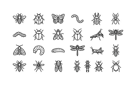 Garden Insect Lines. Line icon set of insect wildlife and bug objects: bee, ladybug, butterfly, worm, caterpillar, beetle, fly, ant, praying mantis, grub, larva, dragonfly, moth, grasshopper, cricket,