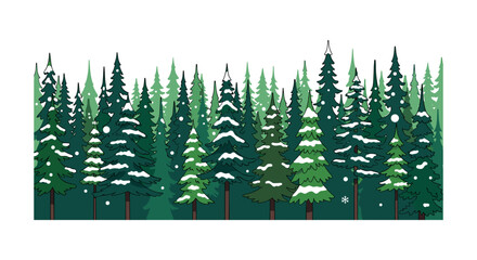 Fototapeta premium Winter snowy pine forest vector graphic with evergreen illustration coniferous seasonal woodland landscape outdoors background
