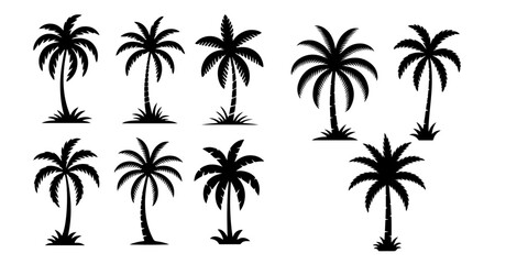 Fototapeta premium Palm tree silhouette collection with tropical coconut palms isolated on light background, exotic summer nature icons for travel, beach, vacation and landscape design themes