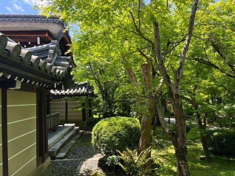 Eikando (Zenrinji Temple) in Kyoto, Japan	
