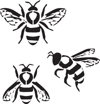 Bee vector illustration of a cartoon bee and honey insect icon design with nature wildlife animal symbol and silhouette style artwork