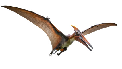 Pterodactyl flying prehistoric reptile with wings spread © Johanna