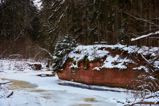 winter river with clifs in the  forest in the snow