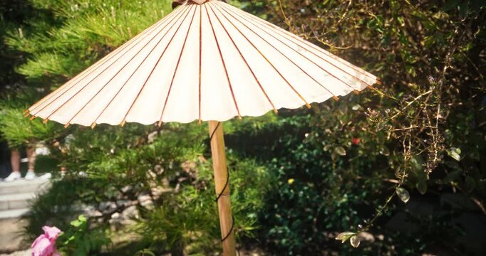 White umbrella standing over pink flowers