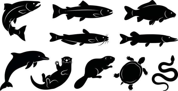 Black silhouettes of various sea animals on white background  fish dolphin seal turtle