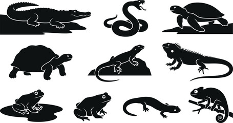 Set of reptiles and amphibians silhouettes on white background © SAYEDAJANNATUL