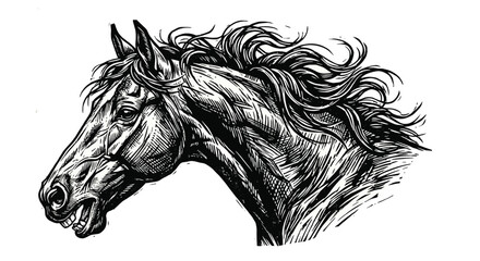 horse head line drawing sketch animal mane © Sonjita