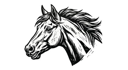 horse head line art animal equine mane © Sonjita