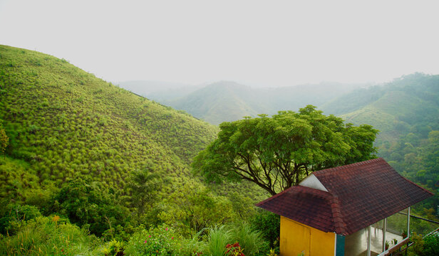 View of the meadows of Vagamon